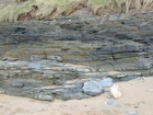 South Lumsdin's Bay Hook Head Carboniferous Porter's Gate Formation