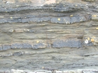 Lumsdin's Bay Hook Head Carboniferous Porter's Gate Formation