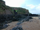 South Lumsdin's Bay Hook Head Carboniferous Porter's Gate Formation