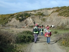 Late Cambrian Templetown Bay Entrance