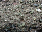 Devonian Terrestrial Conglomerates & Sands