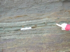Carboniferous Porters Gate Formation, Woarwoy Bay, east margin of Hook Head