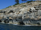 Lagoonal facies near Cala Pi Luis Pomar and Christopher Kendall