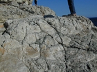 Mallorca Messinian Stromatolites