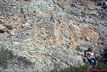 Cap Blanc Coral Thicket