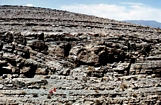 Turbidites N Tunnel de LegionaireHigh Atlas Jurassic Morroco