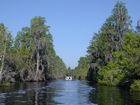 Okefenokee Suwannee Canal