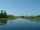 Entering Chesser Prairie Okefenokee