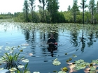 Okefenokee Chesser Prairie