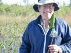 Okefenokee Chesser Prairie