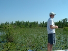 Okefenokee Chesser Prairie