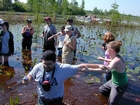 Okefenokee Chesser Prairie