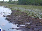 Floating Peat Battery