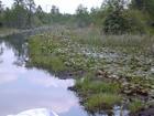 Floating Peat Battery