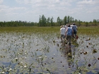 Floating Peat Battery