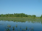 Exit Chessire Prairie