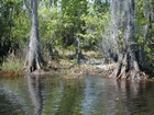 Canal Close to Camp Cornelia