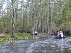 Minnie's Lake Boat Trail