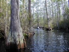 Minnie's Lake Boat Trail