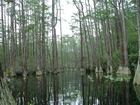 Minnie's Lake Boat Trail