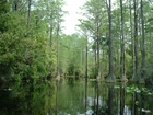 Minnie's Lake Boat Trail