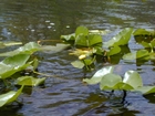 Floyds Prairie