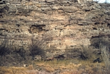 Dark Canyon Seven Rivers Fm. Exposure of tidal flat dolomites that appear to be have stromatolitic layering and form collapsed breccias after the disolution of supratidal anhydrites. These breccias interfinger with continental clastics. Kendall Photograph