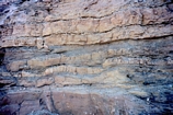 Rocky Arroyo Seven Rivers Fm. Exposure of tidal flat dolomites that appear to be have stromatolitic layering and form collapsed breccias after the disolution of supratidal anhydrites. These breccias interfinger with continental clastics. Kendall Photograph