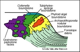 Compilation from C. Robertson Handford of the Guadalupe Mts Capitan Margin