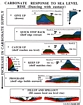 Carbonate Response To Base Level