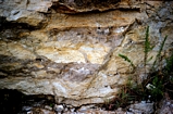 Guadalupe Mts Walnut Cayon Tansill