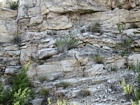 Guadalupe Mts Walnut Cayon Tansill. Parking Lot Tepee