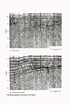 Permian Basin Seismic