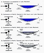 Lake McLeod Western Australia: C.G.St.C.Kendall Diagram after Logan