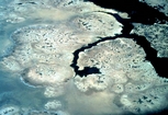 Subtidal Spring Lake McLeod Western Australia