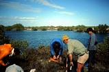 Subtidal Spring Lake McLeod Western Australia