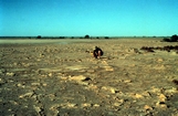 Ken Hsu Socializing Lake McLeod Western Australia