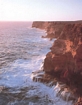 Pleistocene Cliffs Shark Bay W Australia