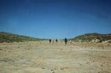 Shark Bay W Australia