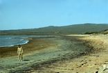 Depuch Inlet Shark Bay West Australia