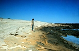 Chris Kendall Hamelin Pool Shark Bay West Australia