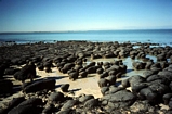 Hamelin Pool Shark Bay West Australia