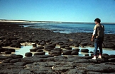 Chris Kendall Hamelin Pool Shark Bay West Australia