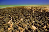 Hamelin Pool Shark Bay West Australia