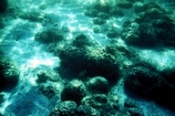 Hamelin Pool Shark Bay West Australia