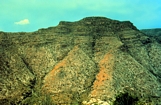 Juvenile Tepees Guadalupe Mts