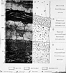 Triassic Juvenile Tepees Seriana Italy