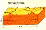 Mature Tepees