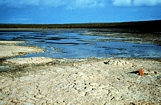 S.Australian Juvenile Tepees