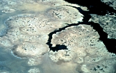 Juvenile Tepees, Lake MacLeod, Western Australia